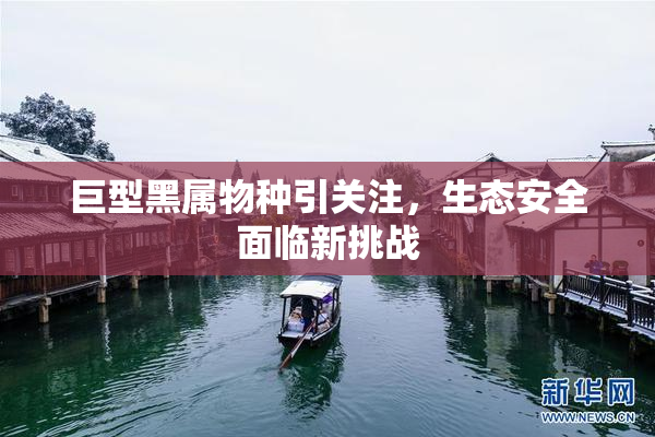 巨型黑属物种引关注，生态安全面临新挑战