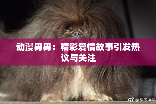 动漫男男：精彩爱情故事引发热议与关注
