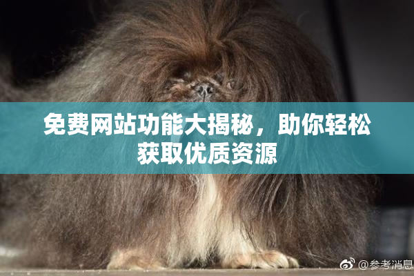 免费网站功能大揭秘，助你轻松获取优质资源