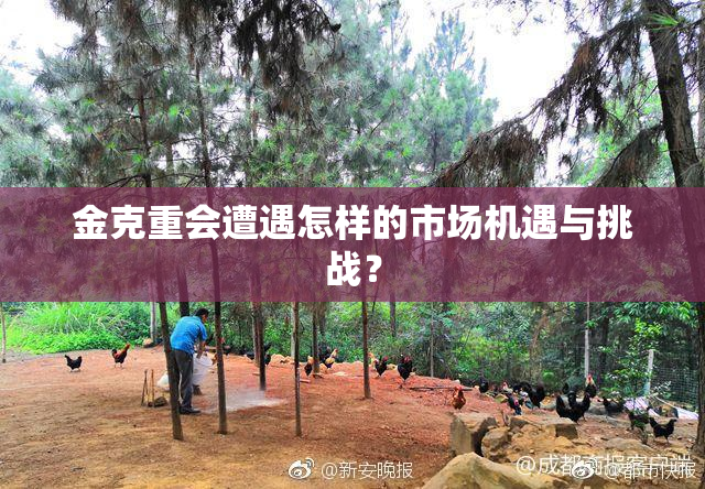 金克重会遭遇怎样的市场机遇与挑战？