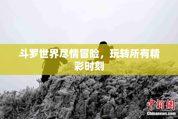 斗罗世界尽情冒险，玩转所有精彩时刻