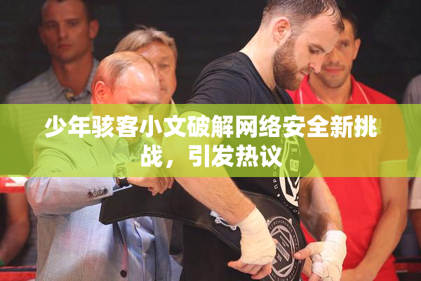 少年骇客小文破解网络安全新挑战，引发热议