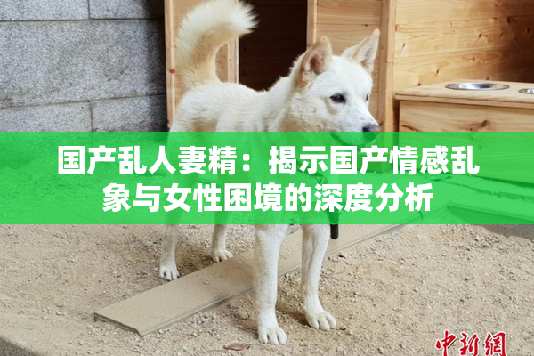 国产乱人妻精：揭示国产情感乱象与女性困境的深度分析