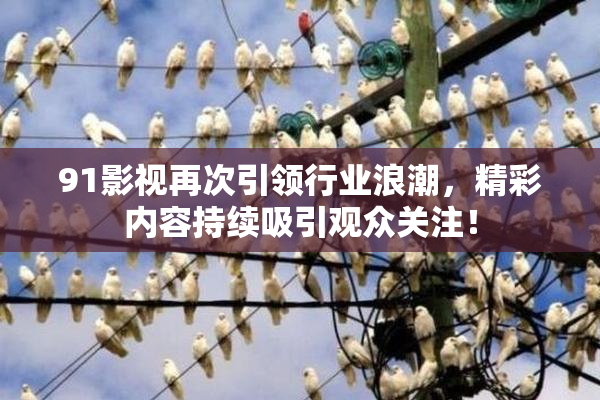 91影视再次引领行业浪潮，精彩内容持续吸引观众关注！