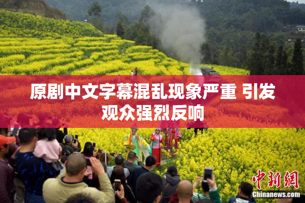 原剧中文字幕混乱现象严重 引发观众强烈反响