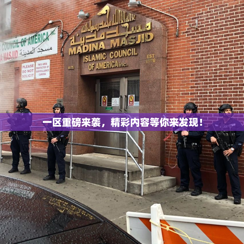 一区重磅来袭，精彩内容等你来发现！