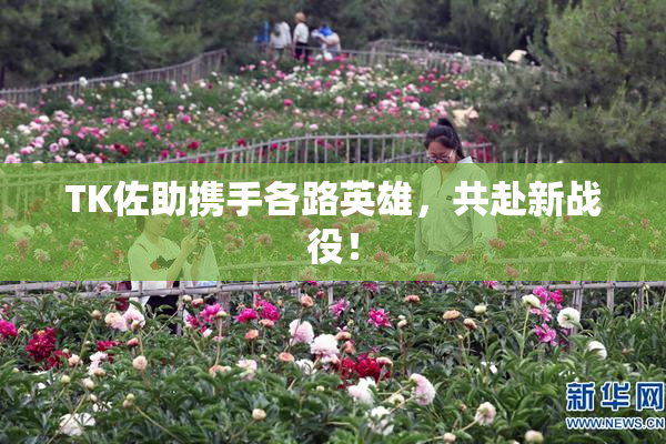 TK佐助携手各路英雄，共赴新战役！