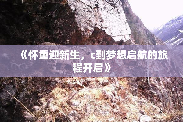 《怀重迎新生，c到梦想启航的旅程开启》