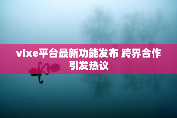 vixe平台最新功能发布 跨界合作引发热议