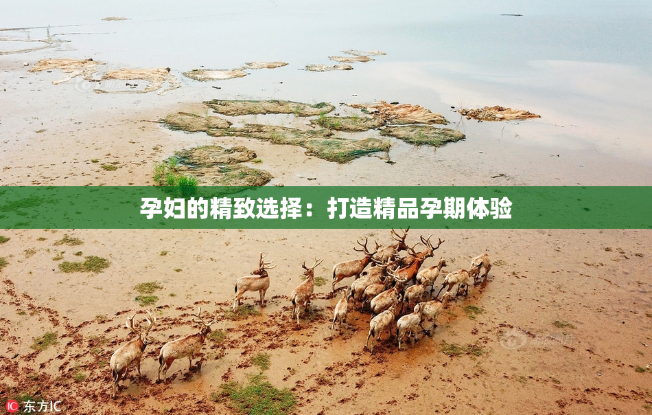 孕妇的精致选择：打造精品孕期体验