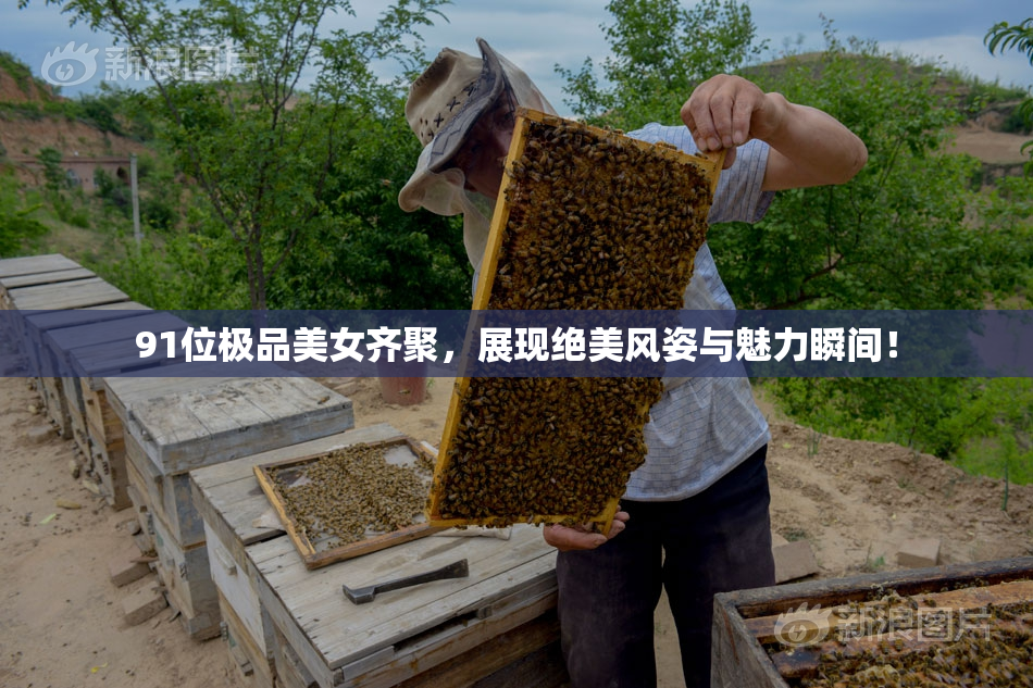 91位极品美女齐聚，展现绝美风姿与魅力瞬间！