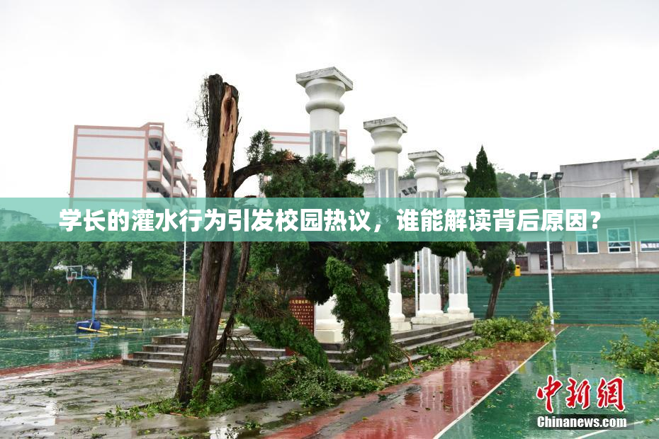 学长的灌水行为引发校园热议，谁能解读背后原因？