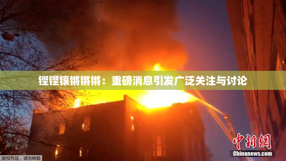 铿铿锿锵锵锵：重磅消息引发广泛关注与讨论