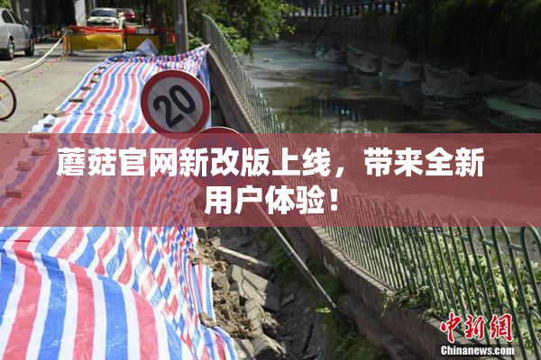 蘑菇官网新改版上线，带来全新用户体验！