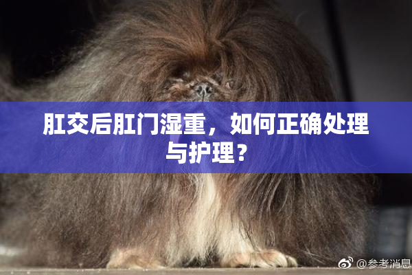 肛交后肛门湿重，如何正确处理与护理？