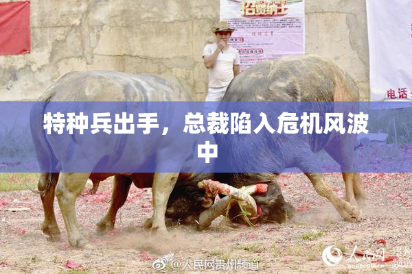 特种兵出手，总裁陷入危机风波中