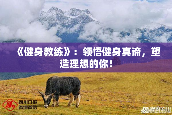 《健身教练》：领悟健身真谛，塑造理想的你！