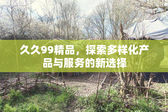 久久99精品，探索多样化产品与服务的新选择