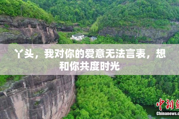 丫头，我对你的爱意无法言表，想和你共度时光