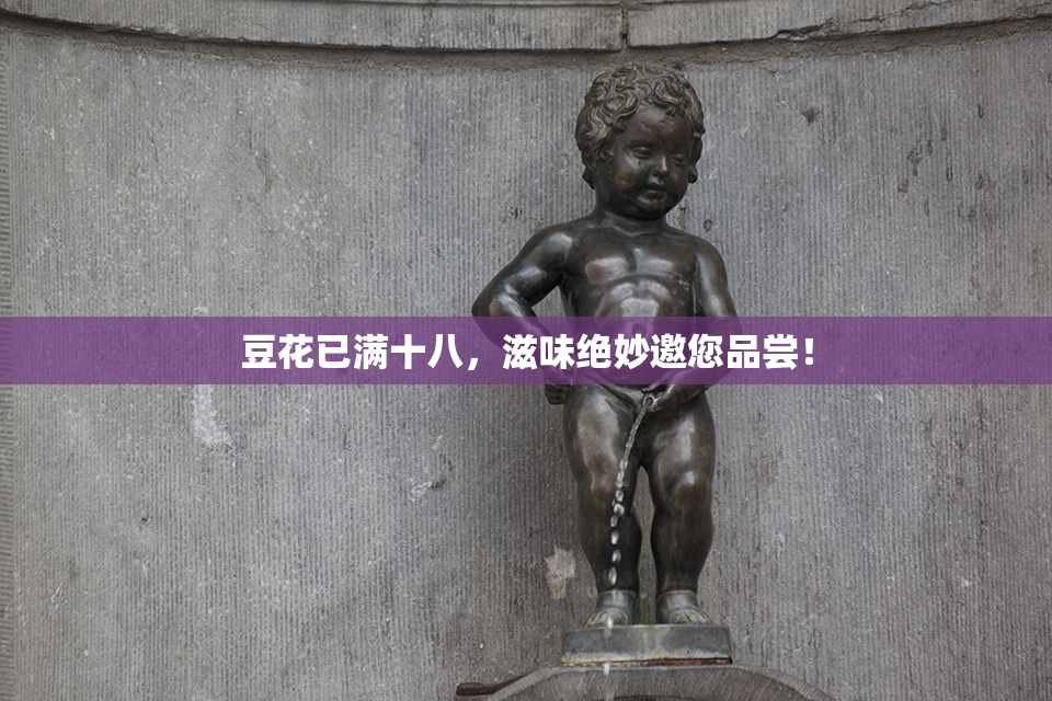 豆花已满十八，滋味绝妙邀您品尝！
