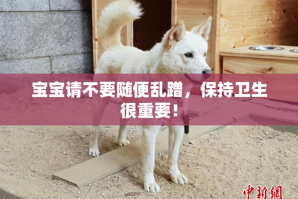 宝宝请不要随便乱蹭，保持卫生很重要！