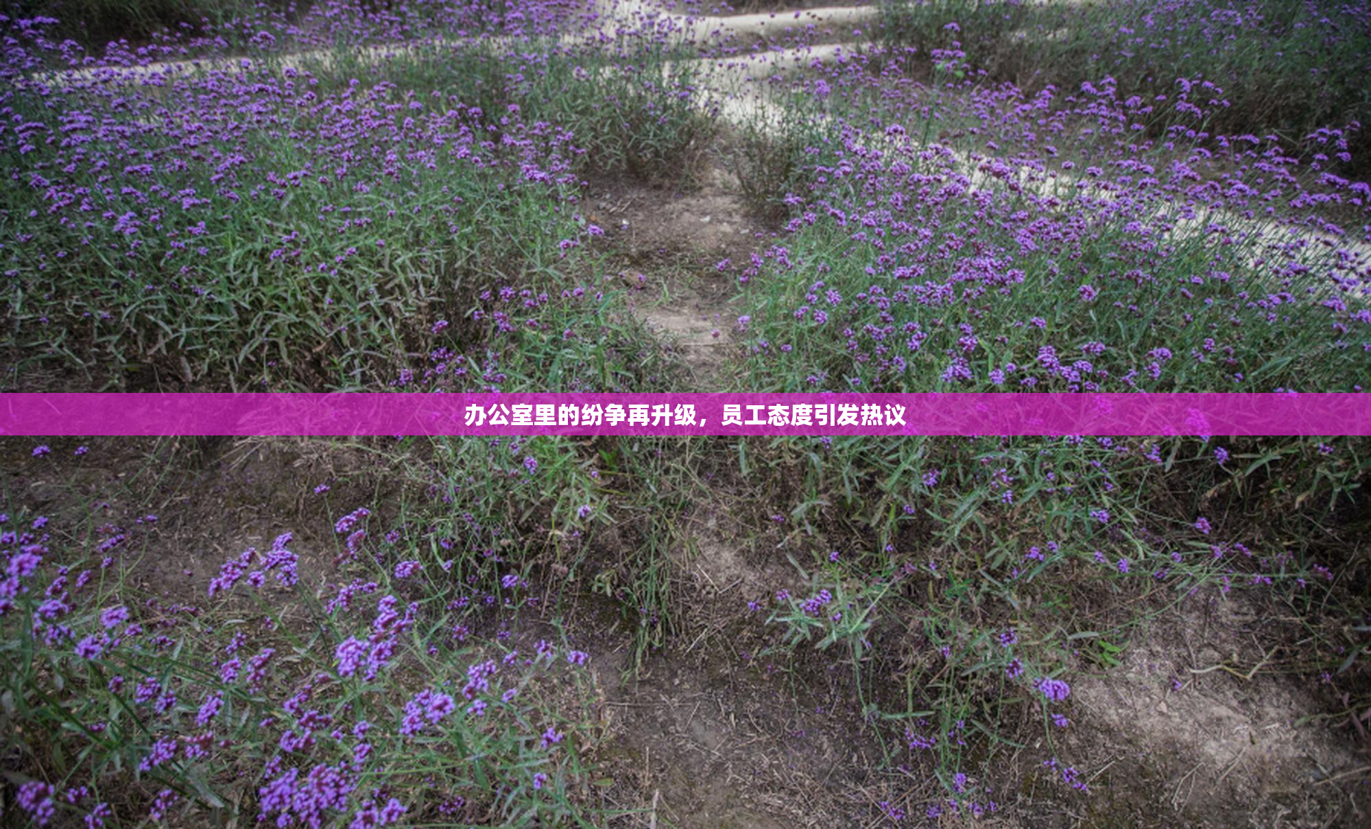 办公室里的纷争再升级，员工态度引发热议