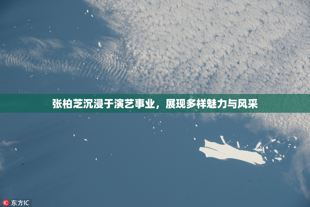 张柏芝沉浸于演艺事业，展现多样魅力与风采