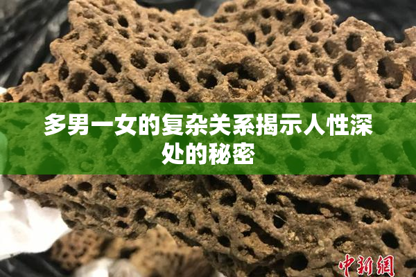 多男一女的复杂关系揭示人性深处的秘密