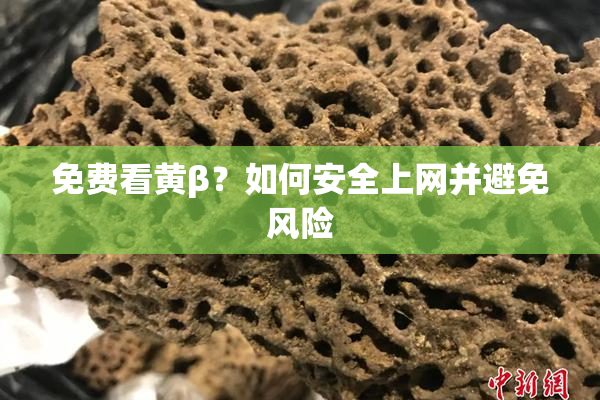 免费看黄β？如何安全上网并避免风险