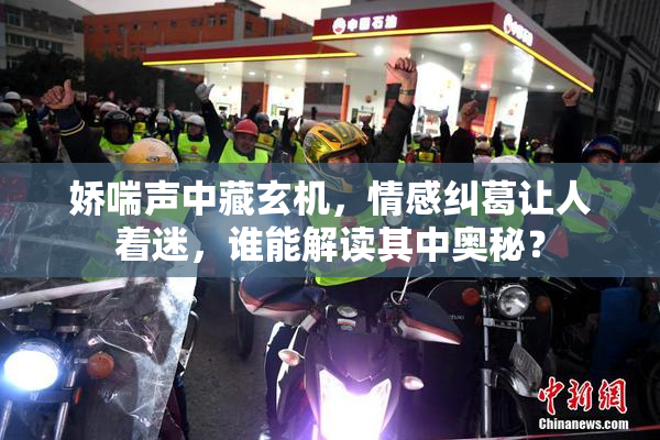 娇喘声中藏玄机，情感纠葛让人着迷，谁能解读其中奥秘？
