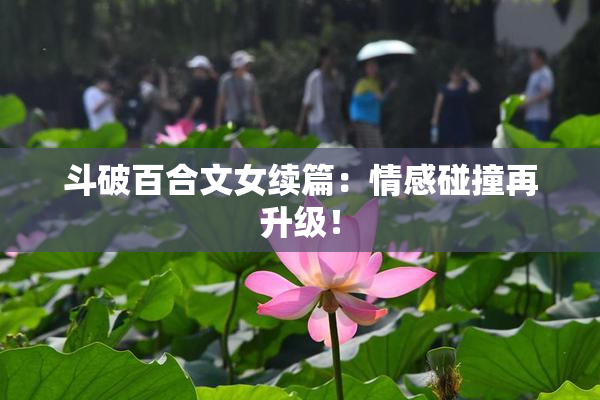 斗破百合文女续篇：情感碰撞再升级！