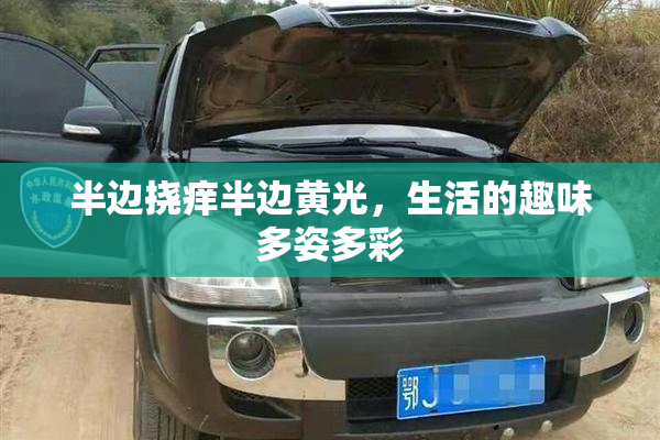 半边挠痒半边黄光，生活的趣味多姿多彩