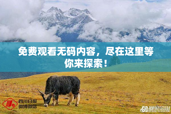 免费观看无码内容，尽在这里等你来探索！