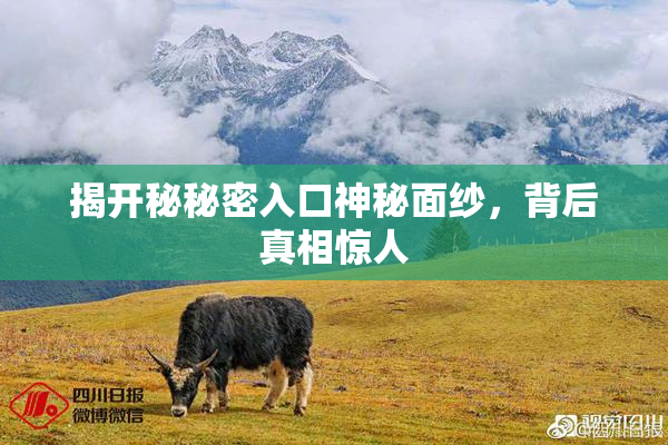 揭开秘秘密入口神秘面纱，背后真相惊人