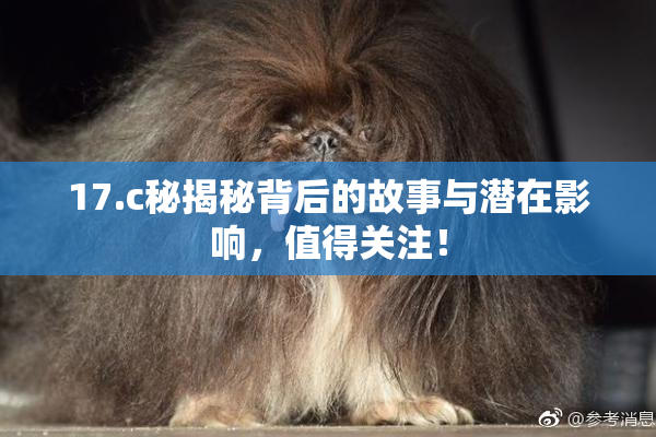 17.c秘揭秘背后的故事与潜在影响，值得关注！