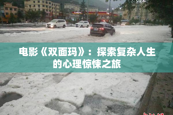 电影《双面玛》：探索复杂人生的心理惊悚之旅