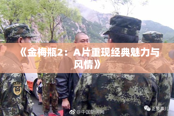 《金梅瓶2：A片重现经典魅力与风情》