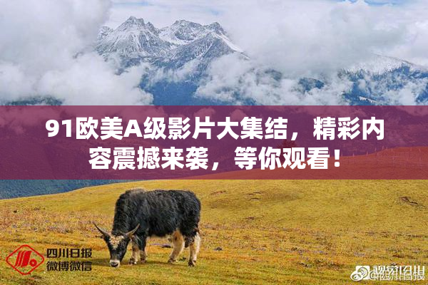 91欧美A级影片大集结，精彩内容震撼来袭，等你观看！