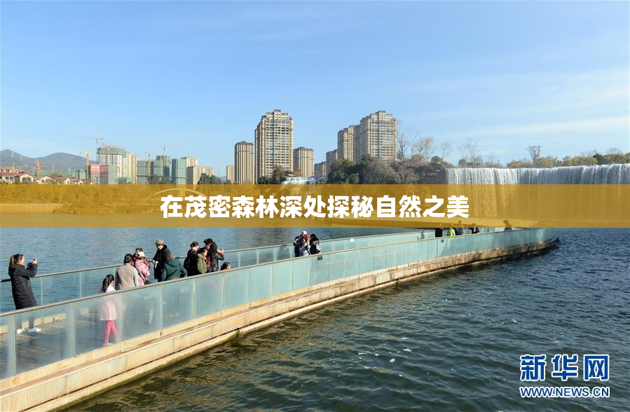 在茂密森林深处探秘自然之美