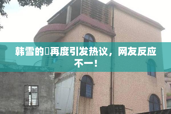 韩雪的婬再度引发热议，网友反应不一！