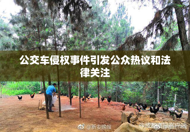 公交车侵权事件引发公众热议和法律关注