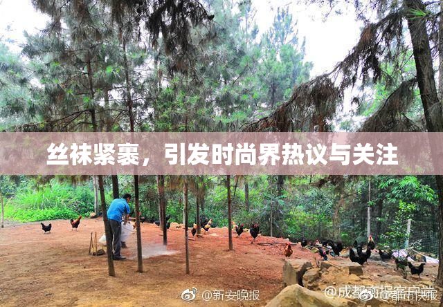 丝袜紧裹，引发时尚界热议与关注
