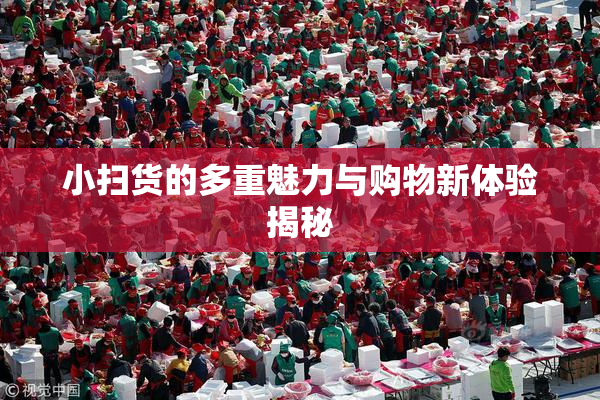 小扫货的多重魅力与购物新体验揭秘