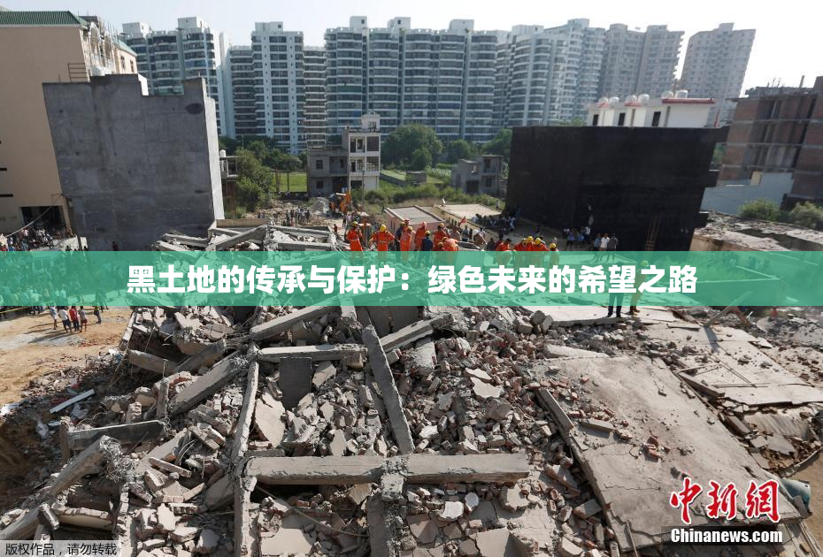 黑土地的传承与保护：绿色未来的希望之路
