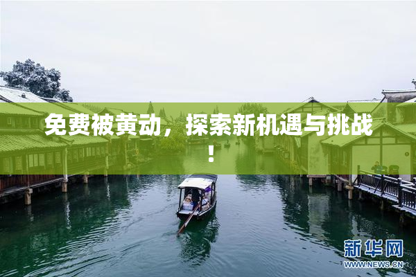 免费被黄动，探索新机遇与挑战！