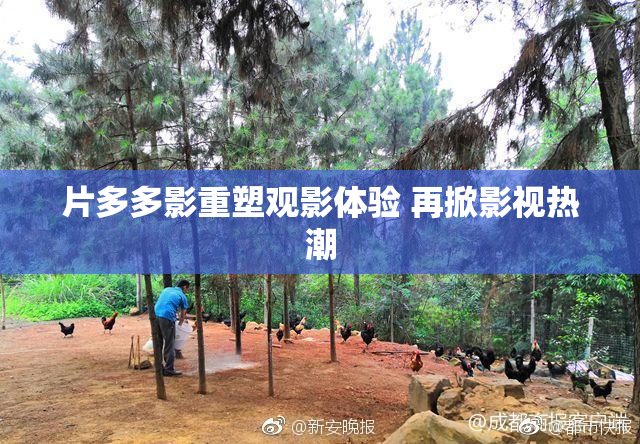 片多多影重塑观影体验 再掀影视热潮
