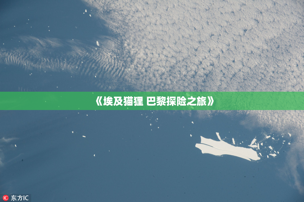 《埃及猫狸 巴黎探险之旅》