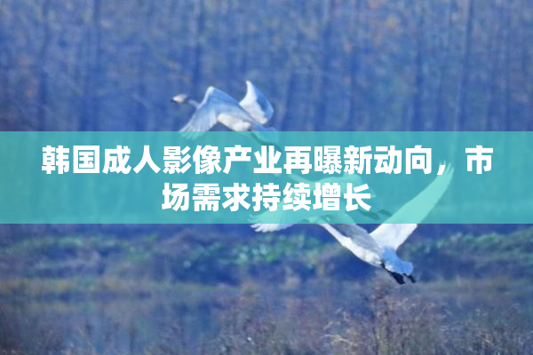 韩国成人影像产业再曝新动向，市场需求持续增长