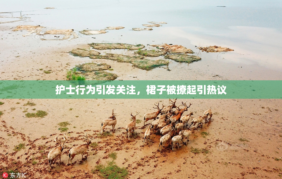 护士行为引发关注，裙子被撩起引热议