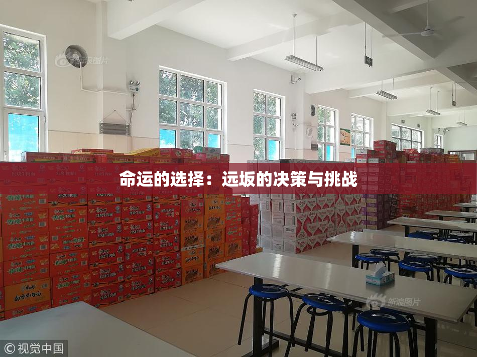 命运的选择：远坂的决策与挑战